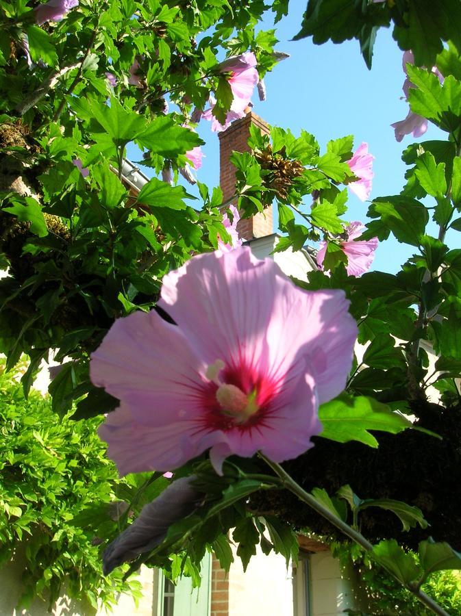 Le Petit Jardin Yoyo Hotel Monts Esterno foto