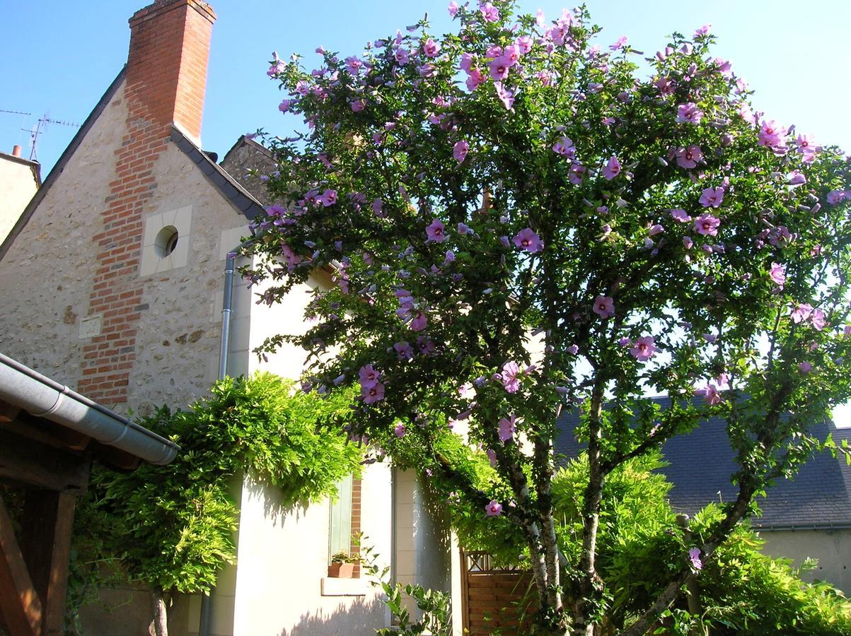 Le Petit Jardin Yoyo Hotel Monts Esterno foto